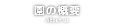 園の概要